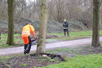 nieuws lindenlaantje waddinxveen