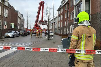 natuur emmastraat poortugaal