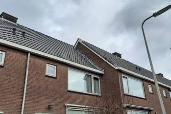 natuur jacob jordaensstraat krimpen aan den ijssel