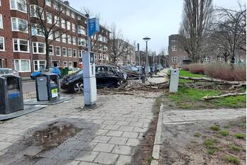 natuur trompenburgstraat amsterdam