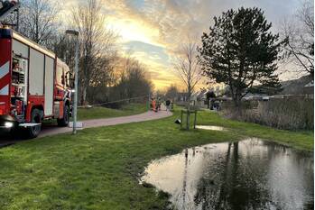 natuur doorzwin julianadorp