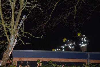 brand oude moolweg renesse