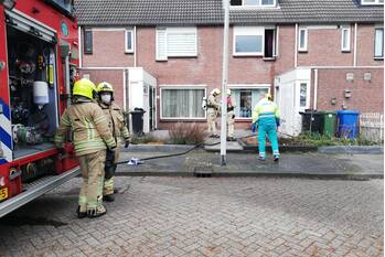 brand piccolo rotterdam