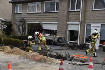 nieuws violierstraat dongen