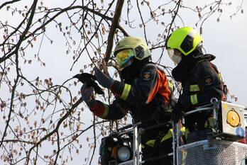 nieuws vikingbank katwijk