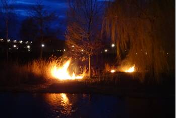 brand merantihout barendrecht