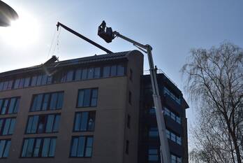 nieuws dongepark dongen