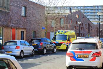 nieuws koolpalmhof amsterdam