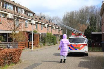 brand maldenhof amsterdam