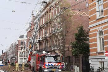 natuur ruyschstraat amsterdam