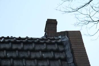 natuur janzenstraat den helder