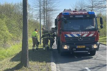 nieuws het ven veghel