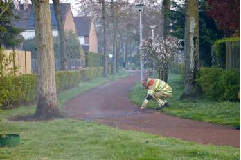 milieu zwartesteeg amersfoort