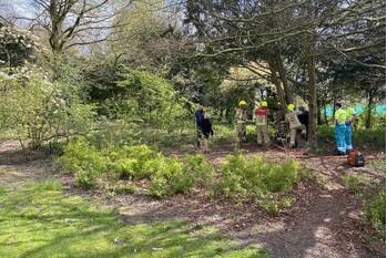 nieuws stadhouderslaan schiedam