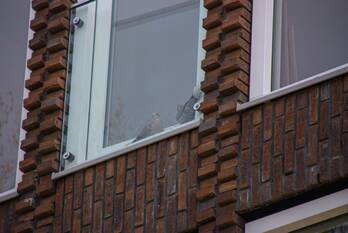 nieuws drentsestraat amersfoort