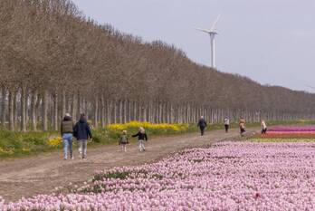 nieuws ibisweg zeewolde