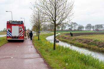 nieuws rhoonse baan rhoon