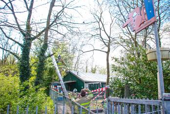 nieuws palmstraat amersfoort