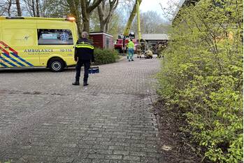 nieuws perenhout julianadorp