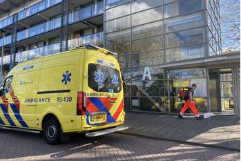 nieuws willem pijperplein maassluis