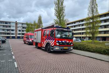 natuur walraven van halllaan gouda