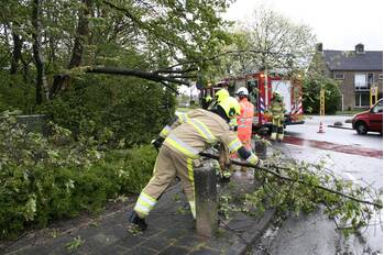 natuur spoorstraat tiel
