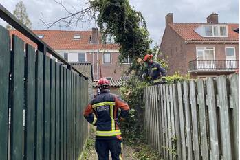 natuur tollensstraat gouda