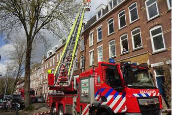 nieuws jaffa rotterdam