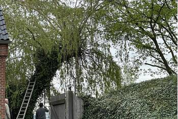 nieuws roestenburgseweg heeswijk-dinther