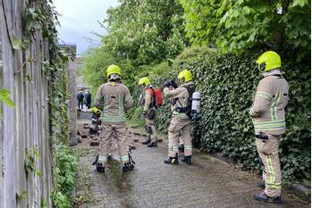 nieuws pelikaan ridderkerk
