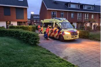 nieuws kapittelhof harmelen