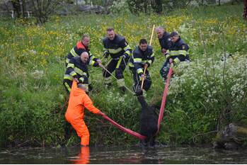 nieuws op'e syl friens