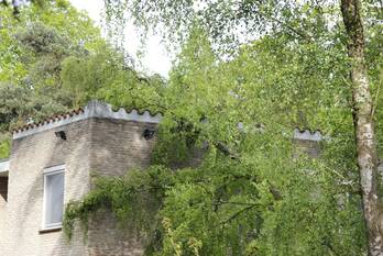 natuur villapark geldrop