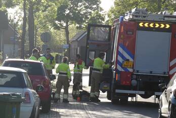 natuur noordhoek reek