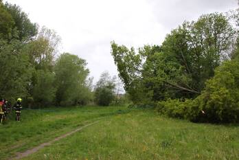 natuur bloemerd leiderdorp