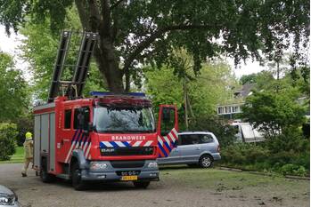 natuur landszoom krimpen aan den ijssel