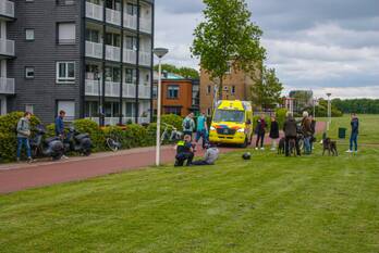 ongeval luistergang amersfoort