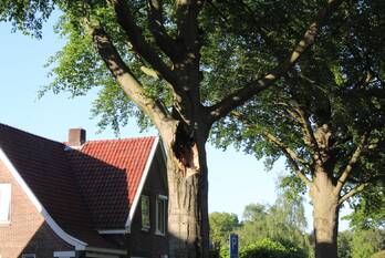 nieuws cobrahof emmen