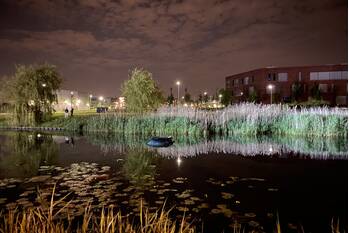 ongeval kilpad barendrecht