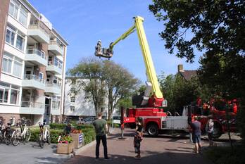 nieuws rijnstraat den helder