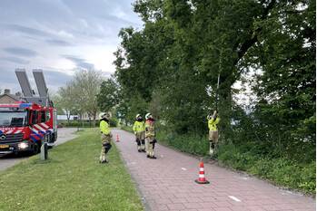 natuur professor oppenheimstraat veghel