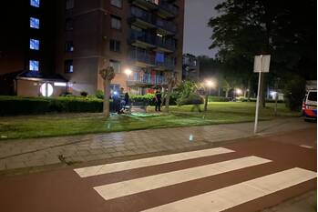 steekincident de lus zwijndrecht