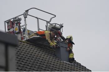 nieuws boslelie assen