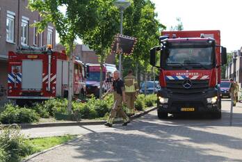 nieuws wilhelmina druckerstraat venlo