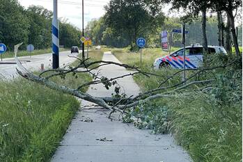 natuur eerdsebaan - n622 schijndel