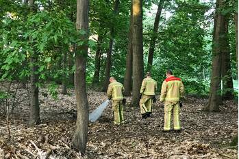 brand park forum eindhoven