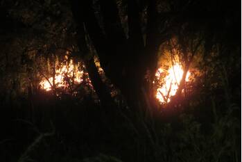 brand westroijensestraat tiel