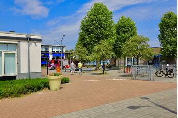 nieuws dierenriem amersfoort