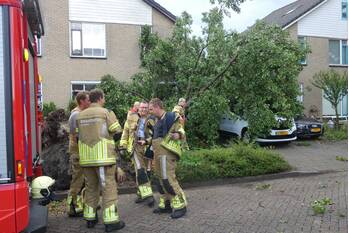 natuur marinus postlaan kampen