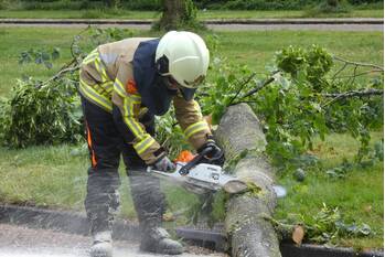 natuur orkestlaan kampen